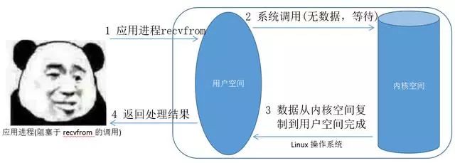 长知识！详解Linux五大网络IO模型