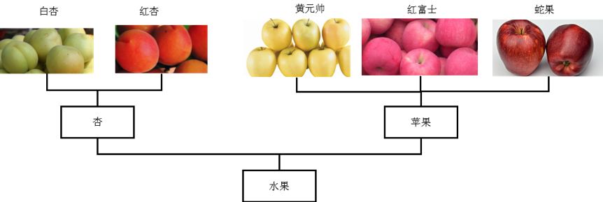 深入浅出聚类算法