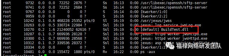 .NET5都来了，你还不知道怎么部署到linux？最全部署方案，总有一款适合你