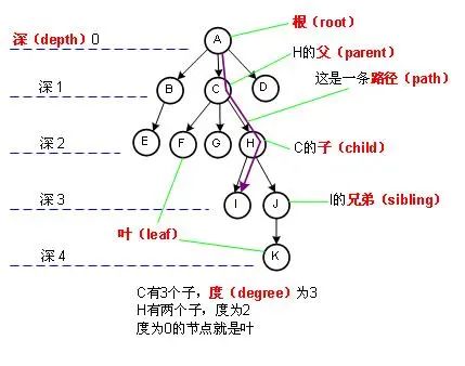 C++实现二叉树 前、中、后序遍历（递归与非递归）非递归实现过程最简洁版本