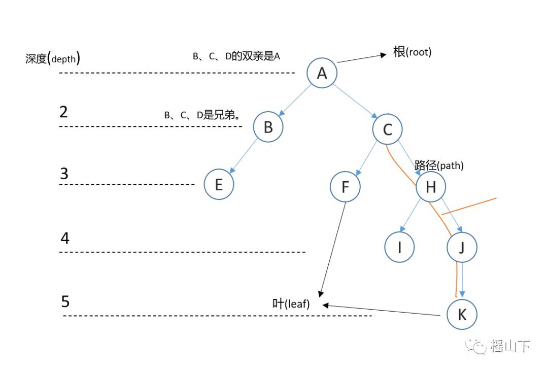 树与二叉树递归版c++