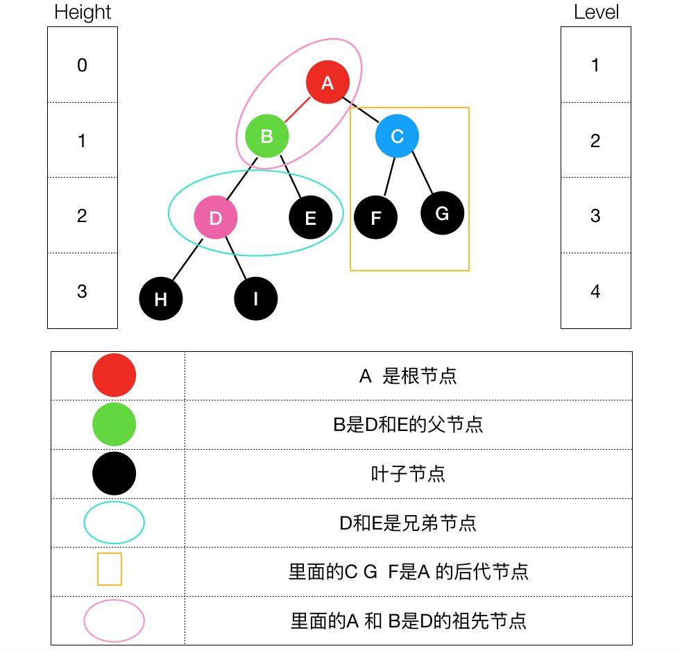 万字长文详解二叉树算法，再也不怕面试了！| 技术头条