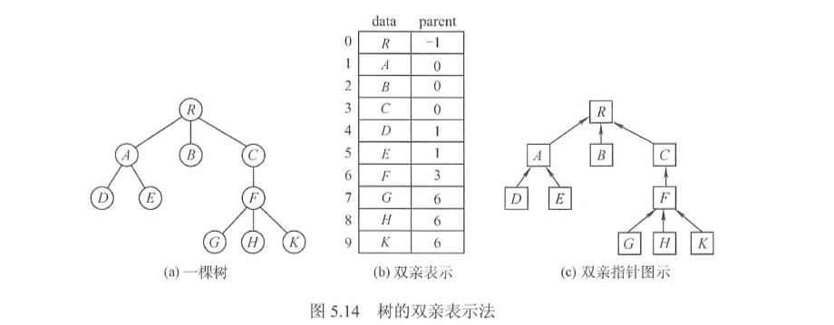 数据结构-树和二叉树(Golang)