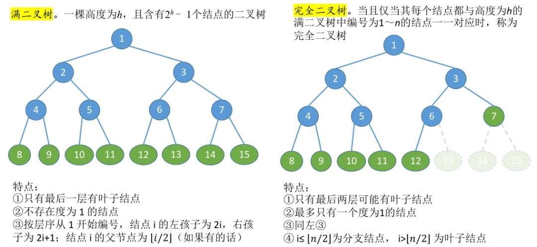 二叉树的基本概念