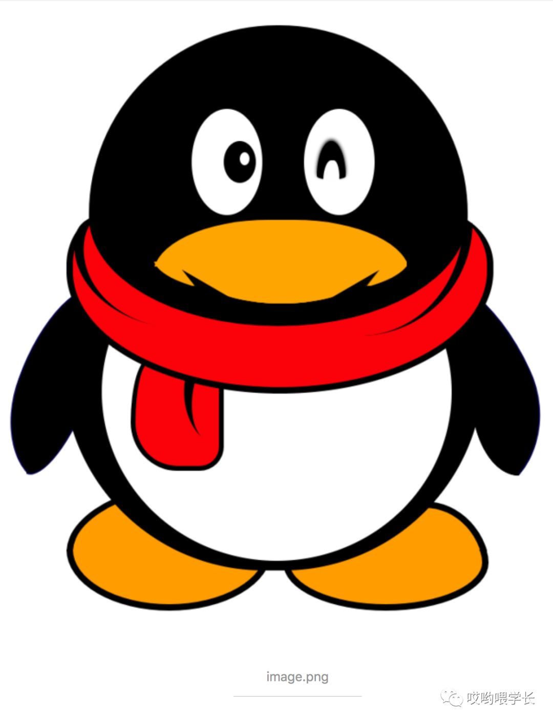 企鹅logo图片大全图片