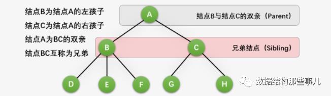 Tree以及二叉树的相关概念知识