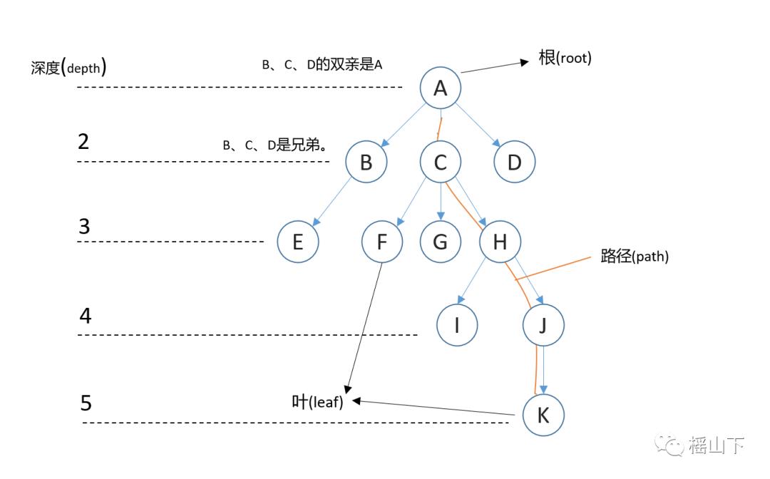 树与二叉树递归版c++