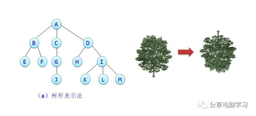 数据结构二叉树（一）