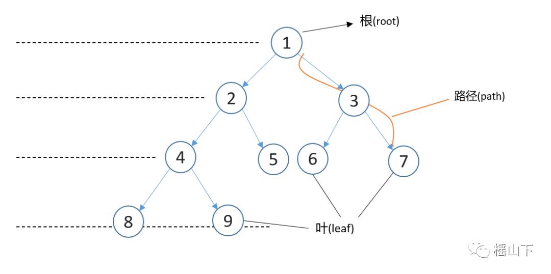 树与二叉树递归版c++