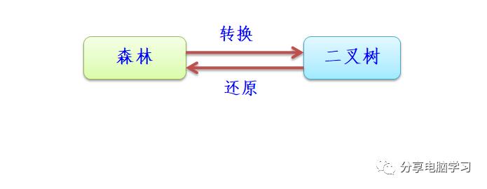 数据结构二叉树（五）