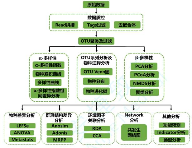 安捷致善内部培训之——不同OTU聚类算法比较研究