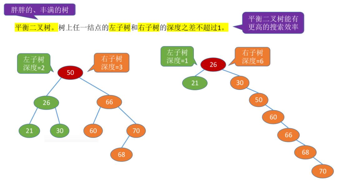 二叉树的基本概念