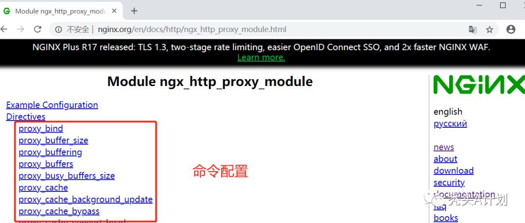 Nginx+lua+openresty系列 | 第三篇：nginx反向代理