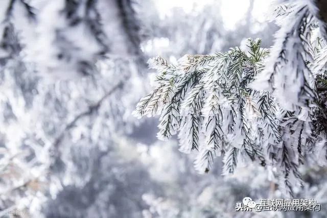 架构设计：高并发读取，高并发写入，并发设计规划落地方案思考