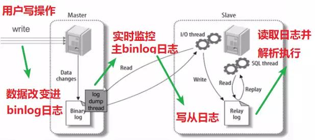 秒杀系统番外篇 | 阿里开源MySQL中间件Canal快速入门