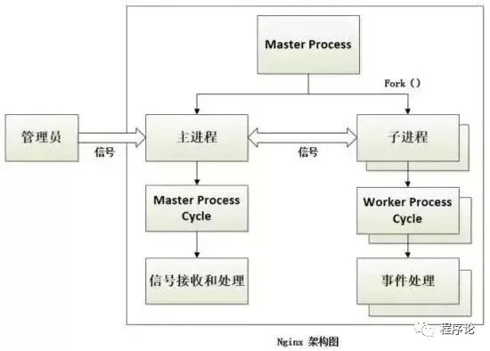 从 Nginx 核心架构设计，揭秘其为何能支持高并发？