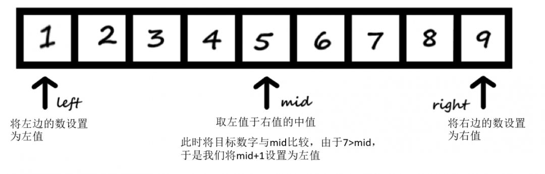 每周算法小知识之二分查找