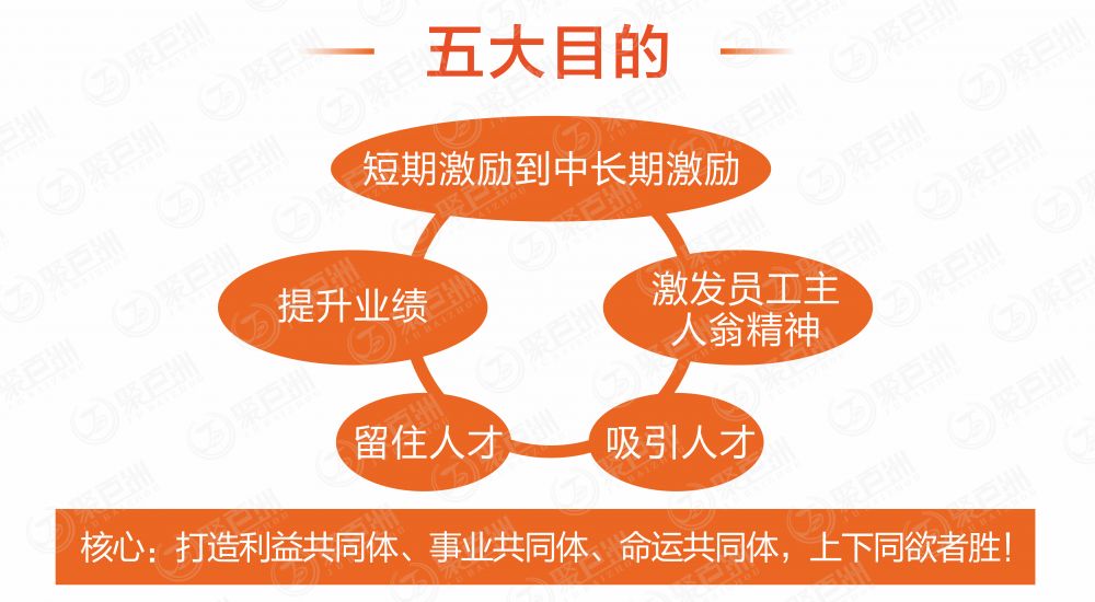 合伙股权架构设计、股东进退薪酬设定、股权薪酬激励体系, 平衡股东关系…