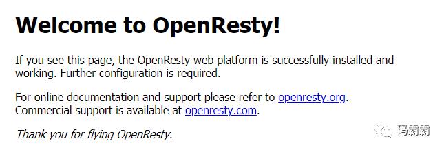 并发编程之缓存：OpenResty+lua实现一级缓存