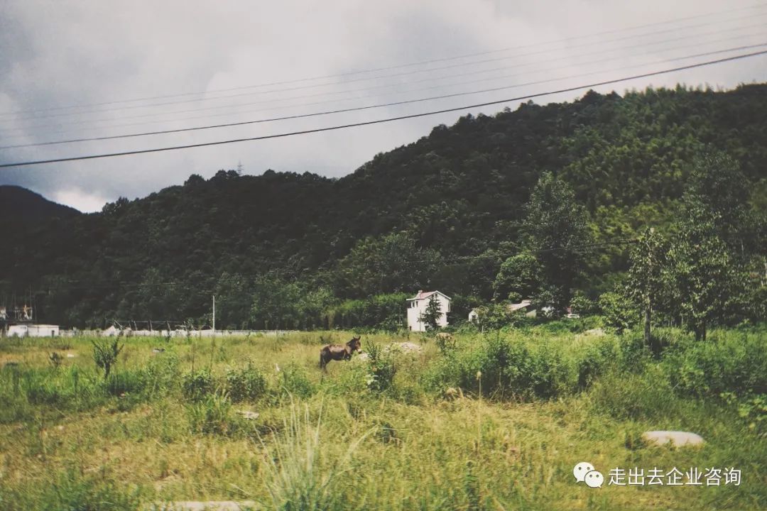 干货|企业走出去：越南投资架构设计