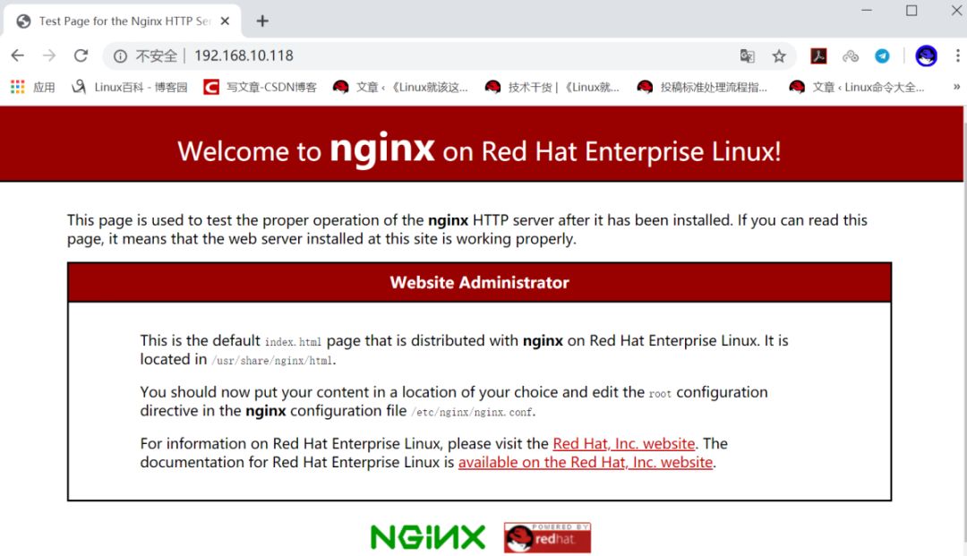 RHEL 8 搭建 Nginx Web 服务