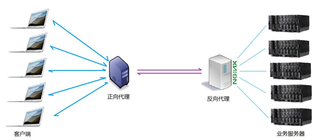 Nginx入门基础知识，看这一篇就够了