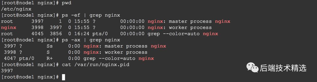 Nginx 一个牛X的功能，流量拷贝！