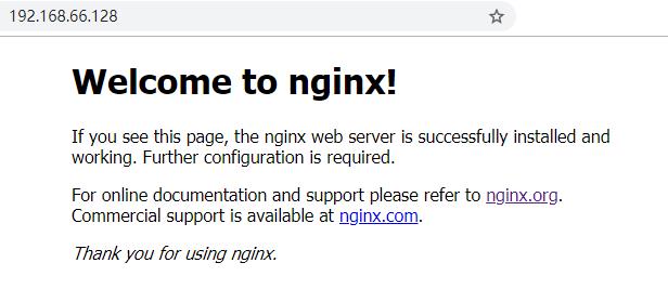 Nginx 极简入门教程！