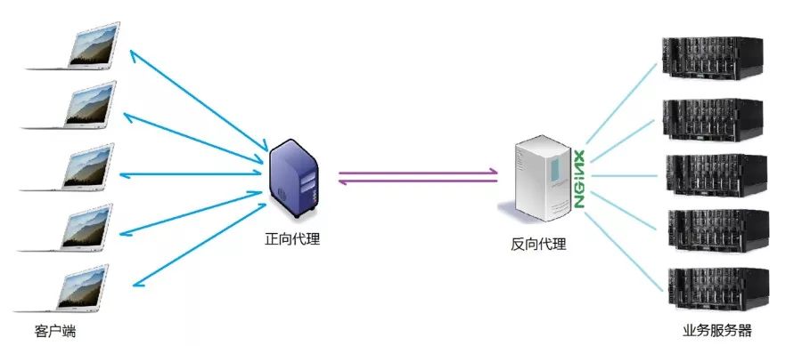 新手入门：Nginx详解