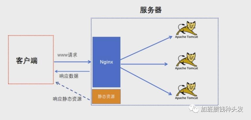 nginx（1）Nginx相关概念