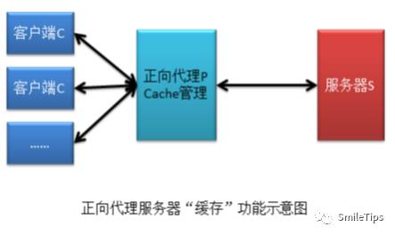 Nginx概述1-代理服务器