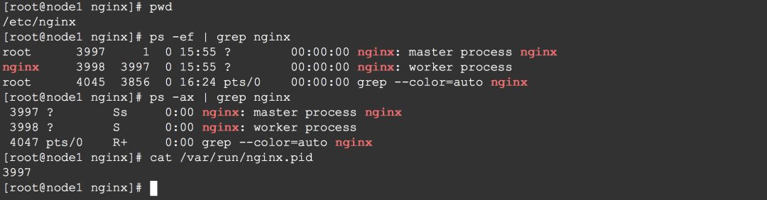 Nginx 又一牛X的功能！流量拷贝