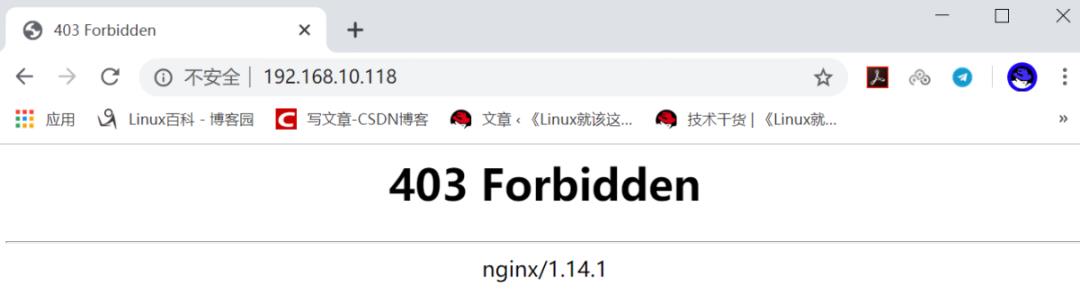 RHEL 8 搭建 Nginx Web 服务