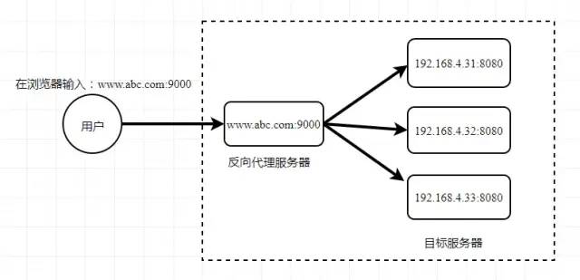 喜极而泣，我终于学会了Nginx！