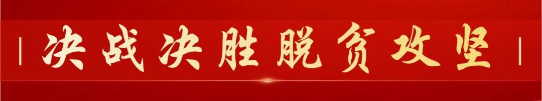 “黑苹果”留住了她的心——记孝感市直驻孝南祝站镇武庙村扶贫工作队队长陆艾华