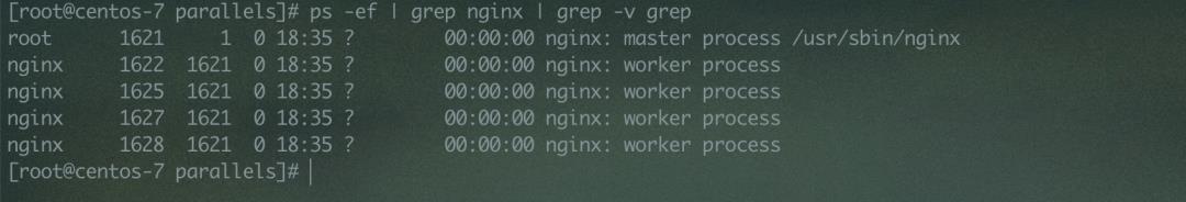 Nginx-包教包会-入门