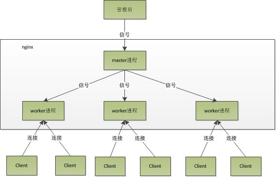 Nginx 核心架构设计，揭秘其为何能支持高并发？