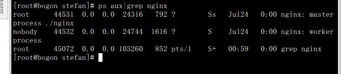 一文读懂 Nginx