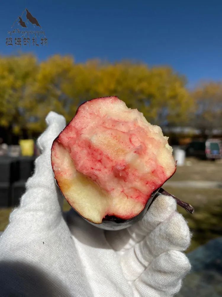 中通/顺丰空运【西藏林芝黑苹果】礼盒装/钻石礼盒装，西藏林芝转拉萨发货！5天左右发货！