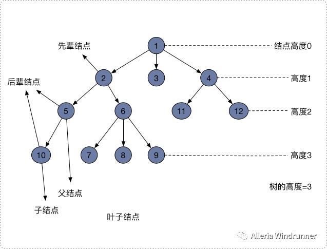 树的深度优先搜索(上)