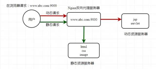 喜极而泣，我终于学会了Nginx！