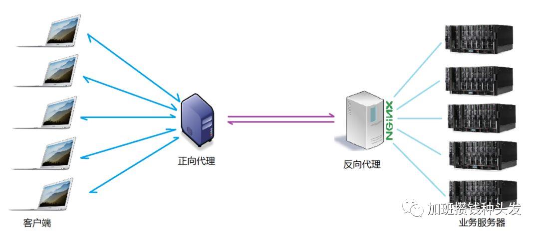 nginx（1）Nginx相关概念