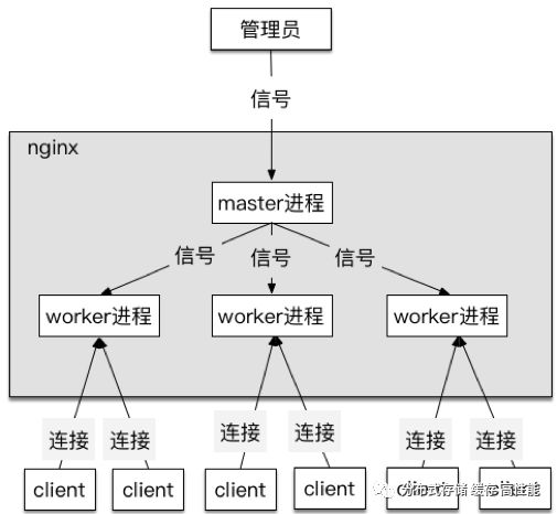 Nginx 架构及核心流程及模块介绍