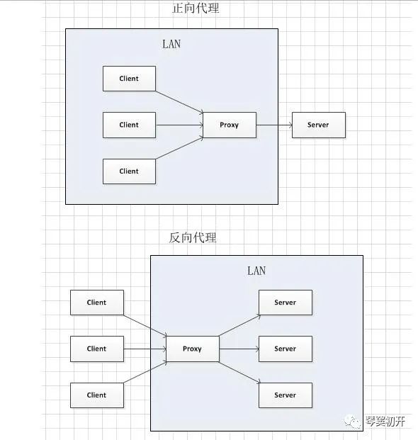 你还不知道Nginx是什么？