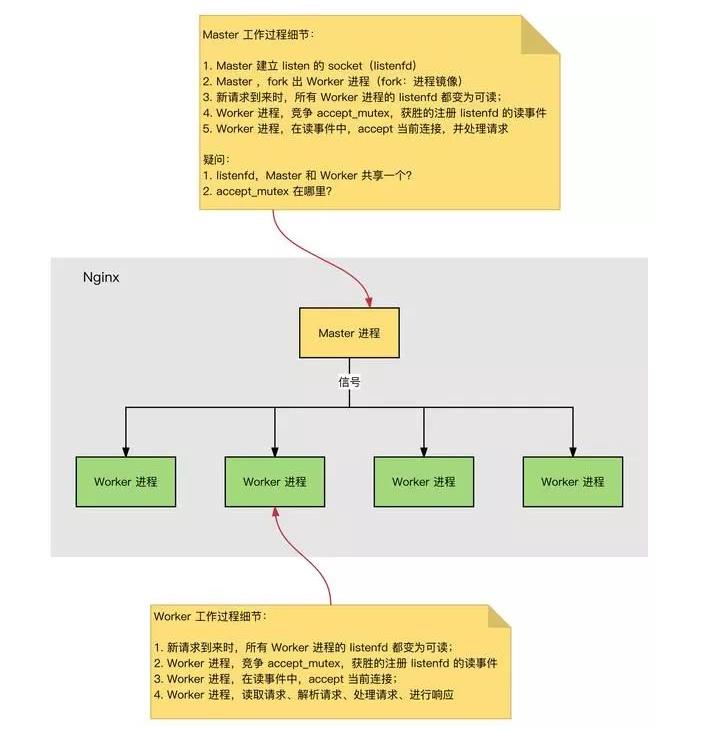 Nginx 的进程模型，并发处理真强！