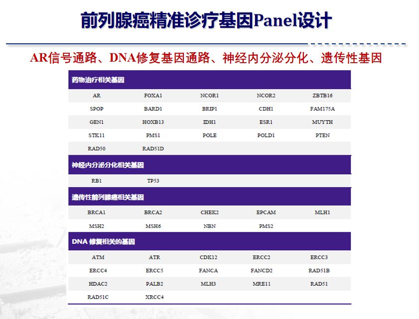 董柏君教授：精准医学时代下mCRPC的新希望——分子靶向治疗