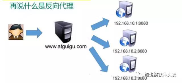 nginx（1）Nginx相关概念