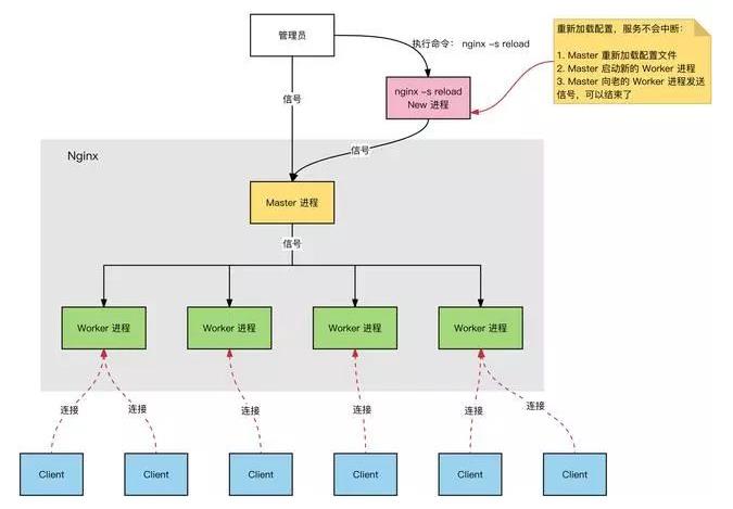 Nginx 的进程模型，并发处理真强！