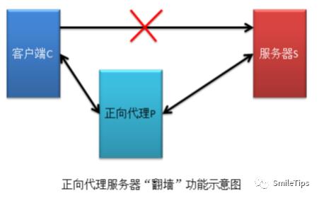 Nginx概述1-代理服务器