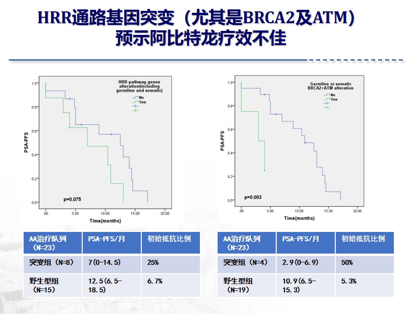 董柏君教授：精准医学时代下mCRPC的新希望——分子靶向治疗